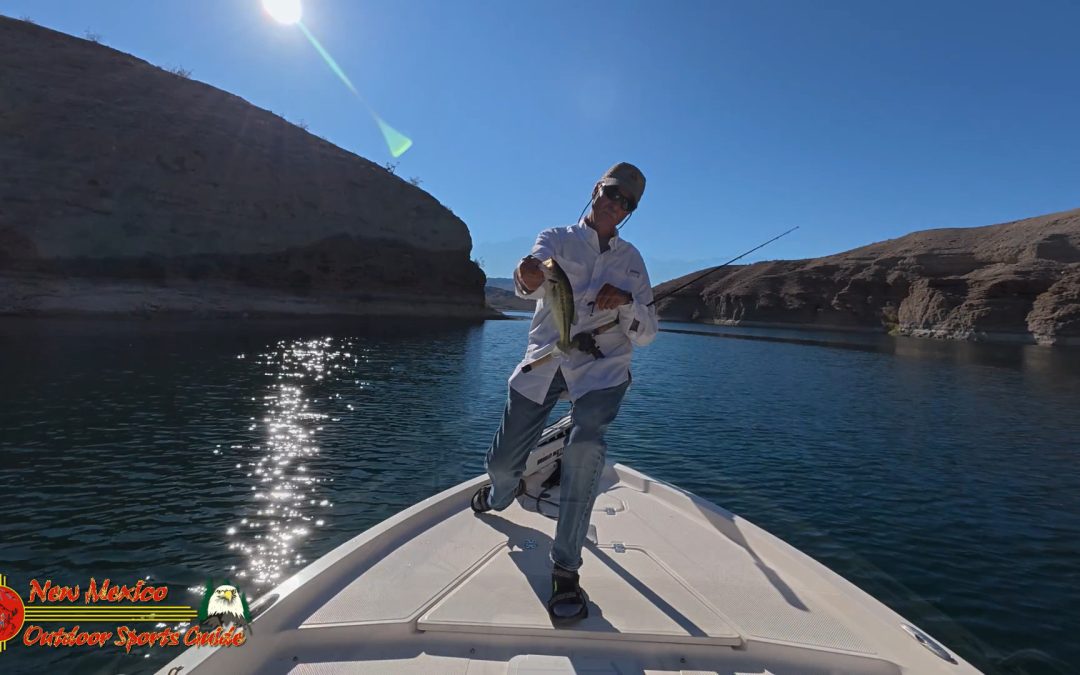 Fishing Lake Mohave